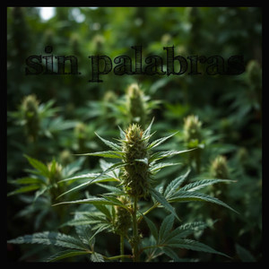Sin Palabras (Explicit)