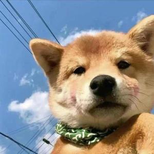 动辄得咎 (玖黎 remix|DJ)