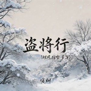 盗将行（枕风宿雪多年）封面