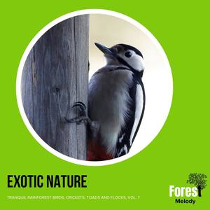 Exotic Nature - Tranquil Rainforest Birds, Crickets, Toads and Flocks, Vol. 7