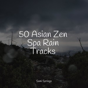 50 Asian Zen Spa Rain Tracks