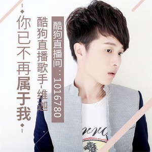 你已不再属于我