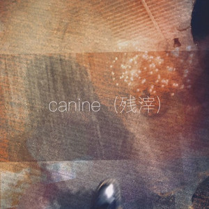 canine (残滓)