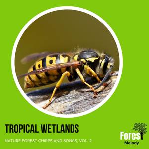 Tropical Wetlands - Nature Forest Chirps and Songs, Vol. 2