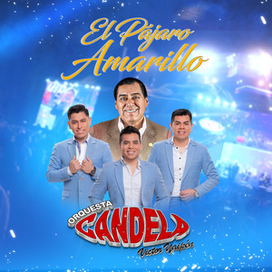 El Pájaro Amarillo (En Vivo)