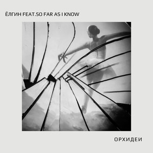 Орхидеи (Explicit)