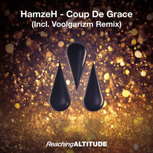 Coup De Grace (Voolgarizm Radio Edit)
