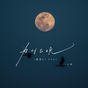 为时已晚 (国语DJ)