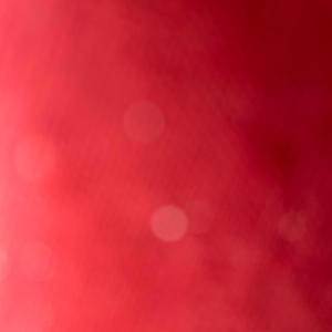 Nur du & mein Wahnsinn (Explicit)