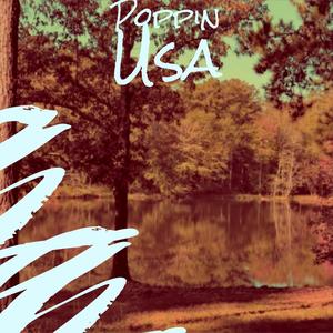 Poppin Usa