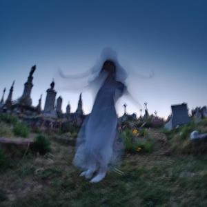 WINDOW PAIN (Explicit)