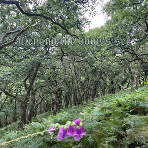 Beyond the body's see (feat. Ant Cook)