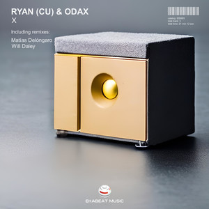 X (Will Daley Remix)