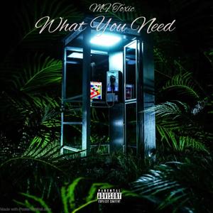 What You Need (feat. BoxHeaD Da Booze Sipper, YoungG & Odyssey) (Explicit)