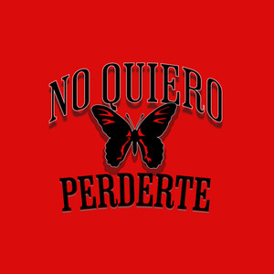 No Quiero Perderte