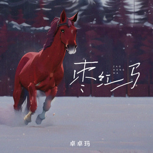 卓卓玛 - 枣红马