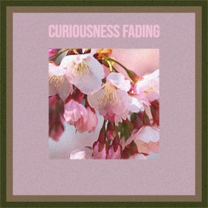 Curiousness Fading