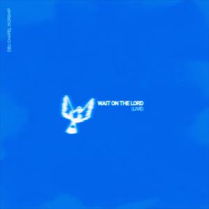 Hosanna // No One Like You (feat. Beki Fitsum)