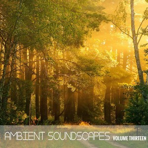 Ambient SoundScapes Vol, 13