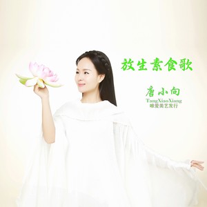 放生素食歌