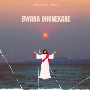 Bwana Uwonekane