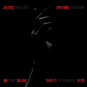 In The Dark (feat. Divine Rakym) (David Michael Mix|Extended Mix)