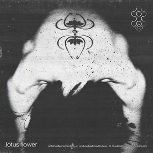 lotus flower (Explicit)