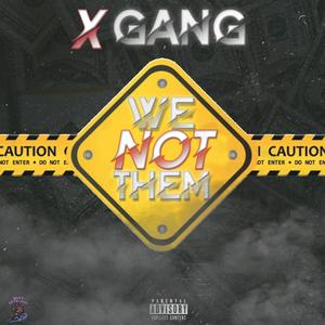 We Not Them (feat. X Gang) [Explicit]