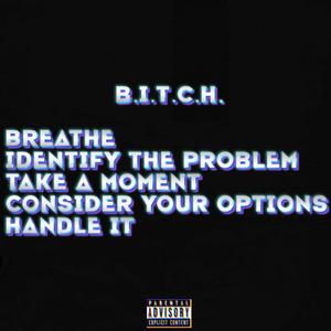 ********** (Breathe.Identify The Problem.Take A Moment(Take The Right Measures, Tea Break).Consider Your Options.Handle It) (Explicit)