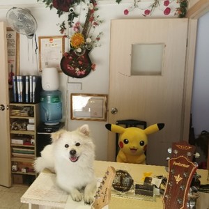 威震逍遥津 (合奏版)