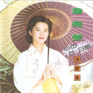 冰雨封面