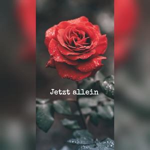 Jetzt allein (feat. TyNi)