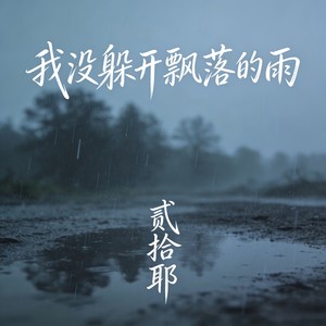 我没躲开飘落的雨 (伴奏)封面