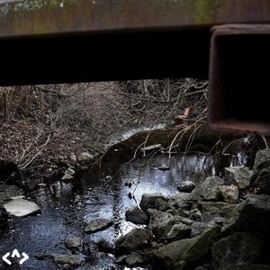 shoulder (feat. nisshoku) (Explicit)