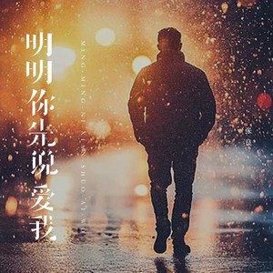 张良-明明你先说爱我[MP3_LRC]_MP3下载