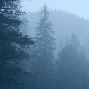 Light Rain