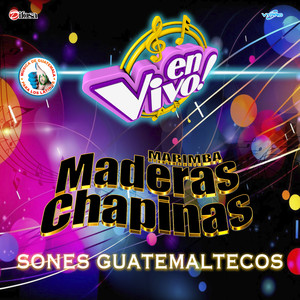 San Francisco de Asis (En Vivo)