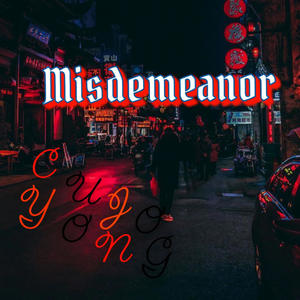 Misdemeanor