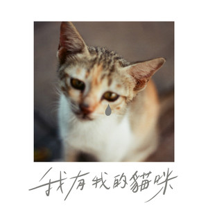 我有我的猫咪