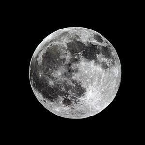 ON WHATEVER (feat. ShipMat3) (Explicit)