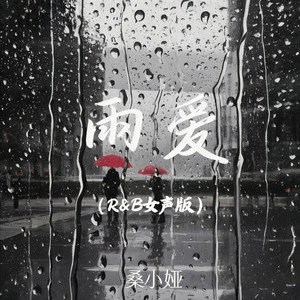 雨爱 (R&B女声版)