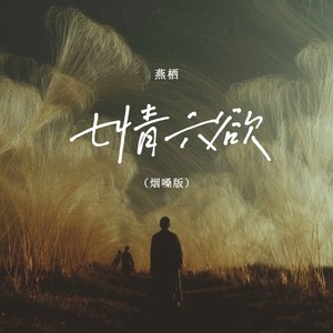 七情六欲 (烟嗓版)