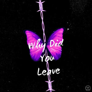 Why Did You Leave? (Explicit)