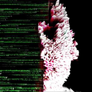 Menya Gaga(feat. Shie1bi, DaniFighter & Xyron) (Explicit)