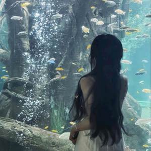 Điều Anh Mong Đợi Không Phải là Tuyết