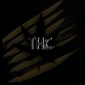 THC (feat. Skodi The Changer) [Explicit]