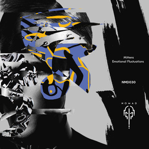 Emotional Fluctuations (Original Mix)