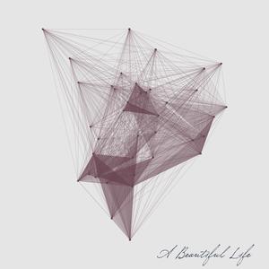 A Beautiful Life
