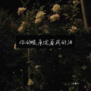 你的眼角留着我的泪