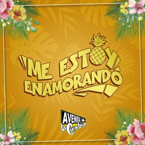 Me Estoy Enamorando